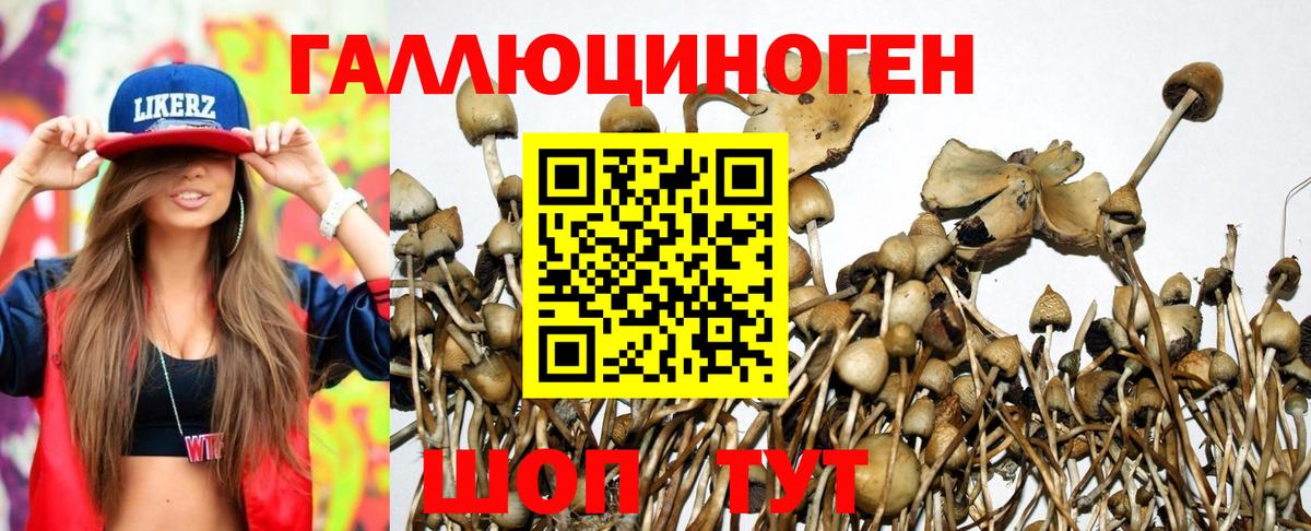 Галлюциногенные грибы мухоморы  Вход с VPN  Галлюциногенные грибы ЛСД  Элиста 
