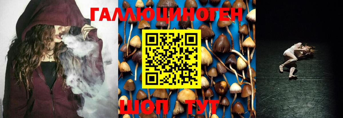 Галлюциногенные грибы мухоморы Элиста