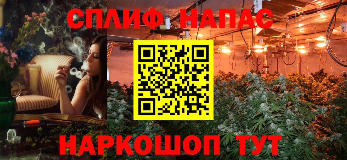 Бошки марихуана Amnesia Элиста